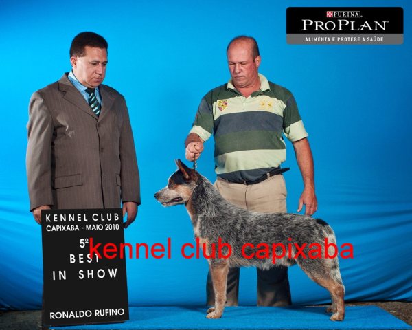 Clique sobre a foto para fechar